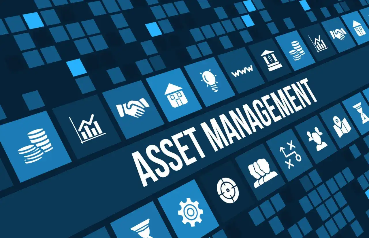 Asset Management: Co to jest i jak pomnożyć kapitał?