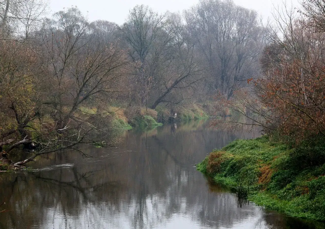 Prawy dopływ Bzury - Poznaj Skierniewkę, Mrogę i trasy dla aktywnych