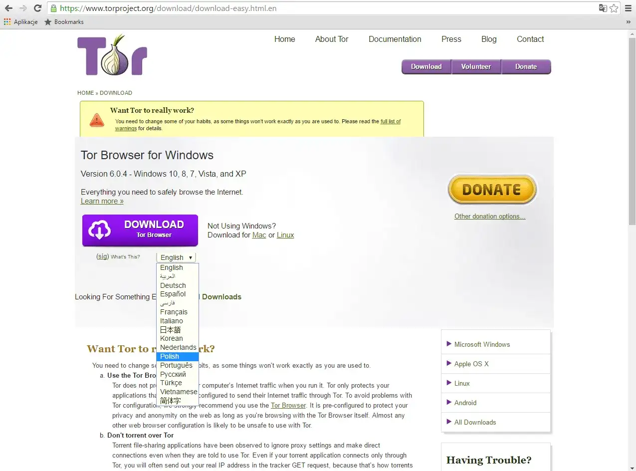 Tor Browser - Czy naprawdę chroni? Pełny przewodnik i ustawienia