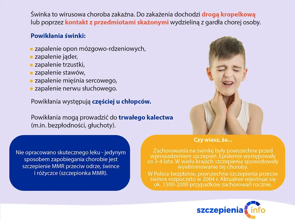 Świnka – objawy, zakaźność, powikłania. Kiedy działać?