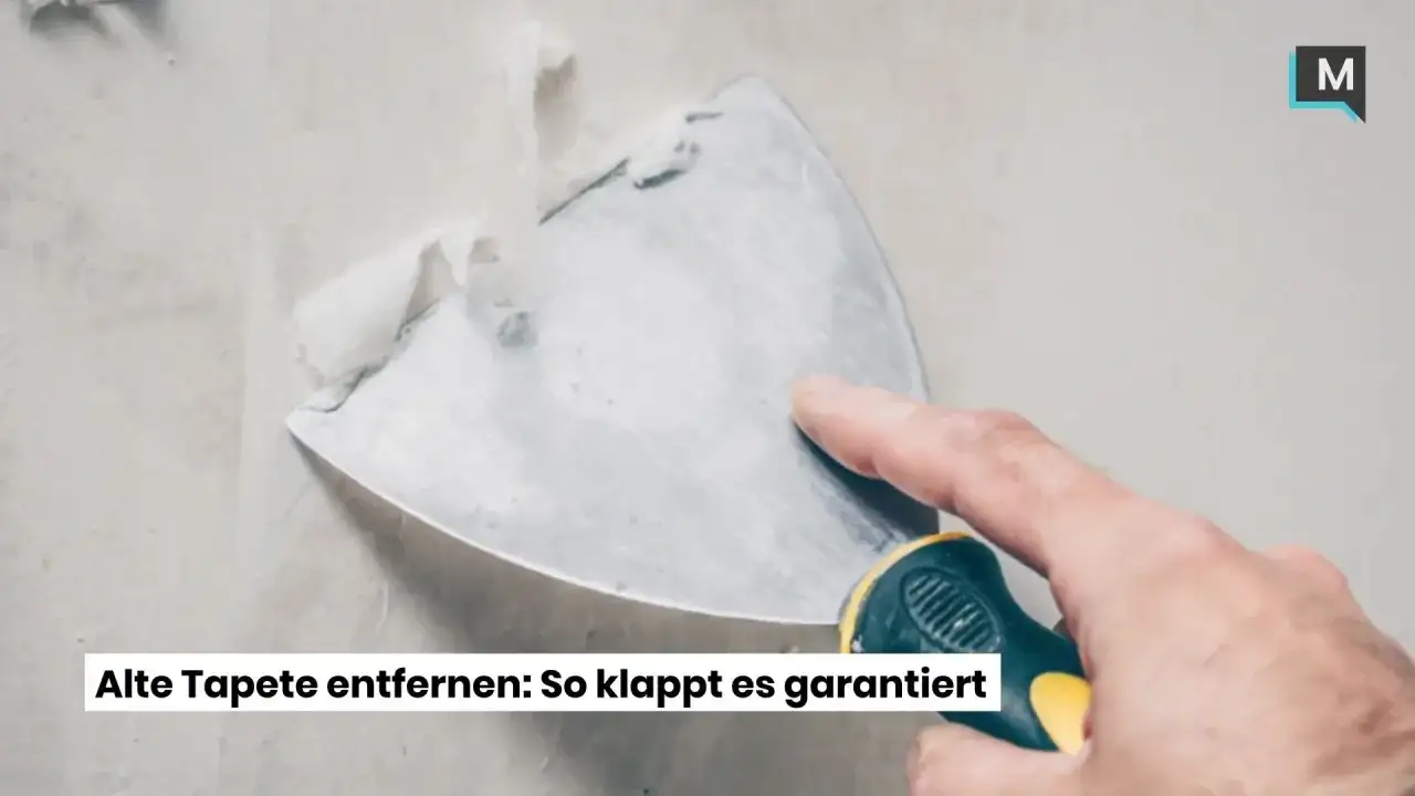 Spaltbare Vliestapete entfernen - So geht's sauber & einfach