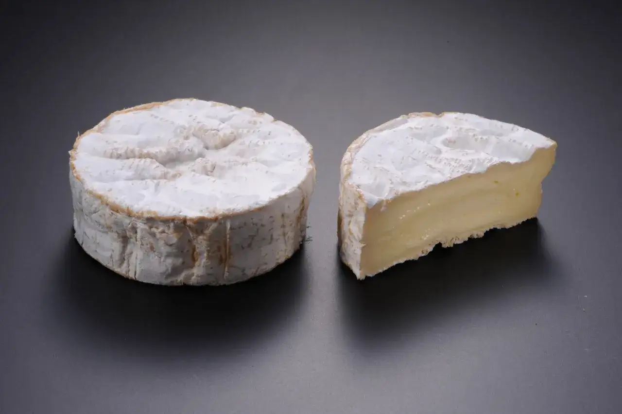 Top 10 fromages connus - Choisissez, servez et accordez-les !