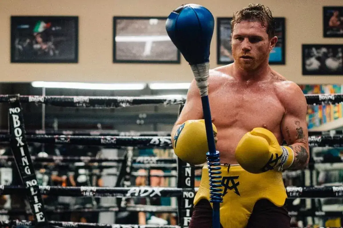 Canelo Weight Class - The Real Story Behind His Divisions
