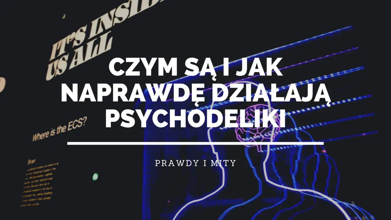 Psychodeliki bez mitów - działanie, ryzyko i prawo w Polsce