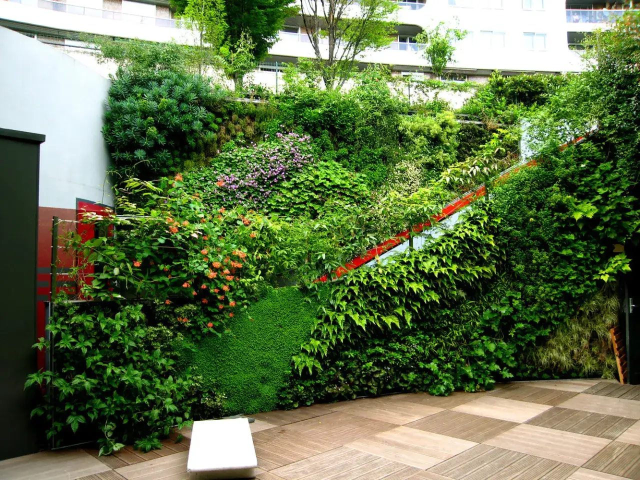 Muro verde: guida completa per un giardino verticale di successo