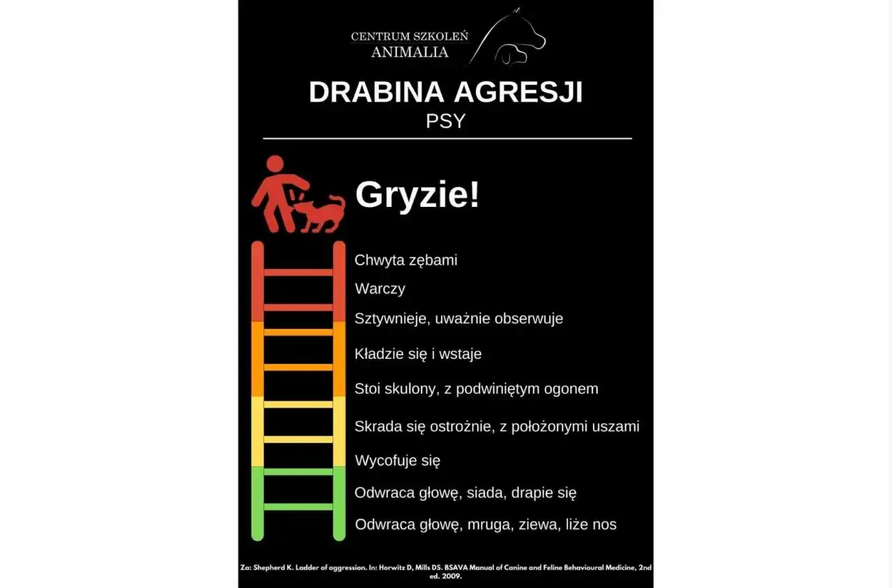 Drabina agresji u psa - Czytaj sygnały, unikaj ugryzień!