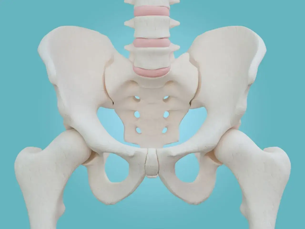 Miednica mniejsza - anatomia, funkcje, objawy. Sprawdź, jak dbać!