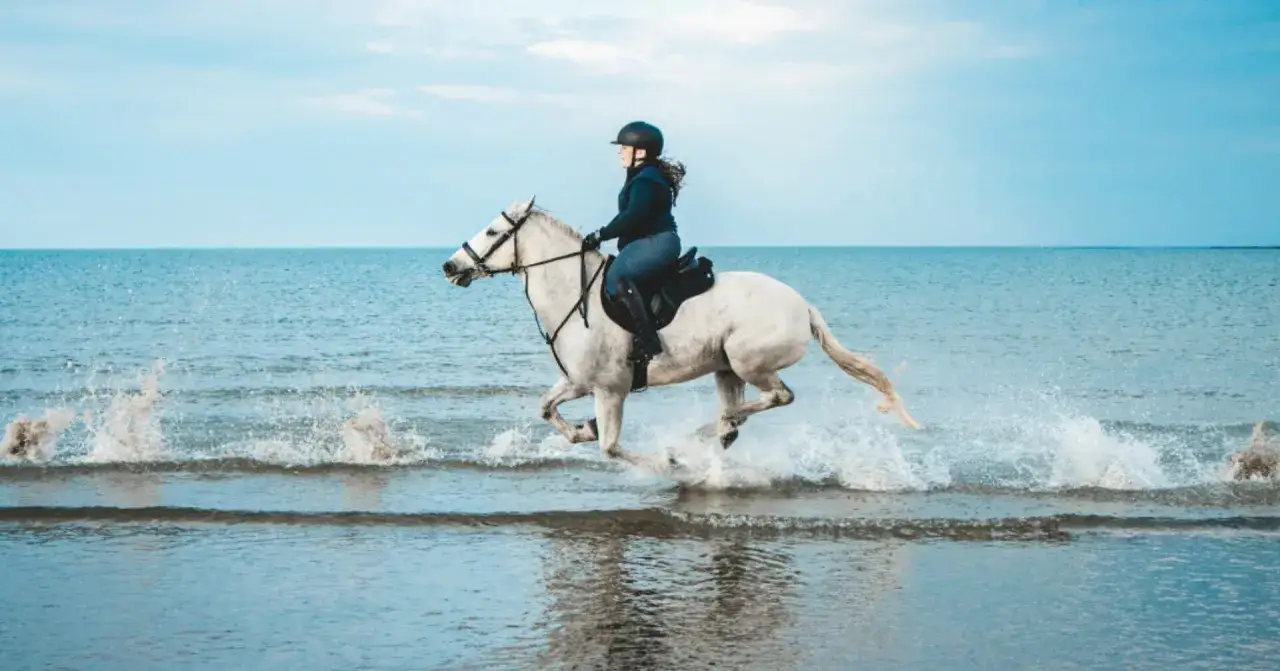 Passeggiata a cavallo sul mare - Guida completa all'esperienza