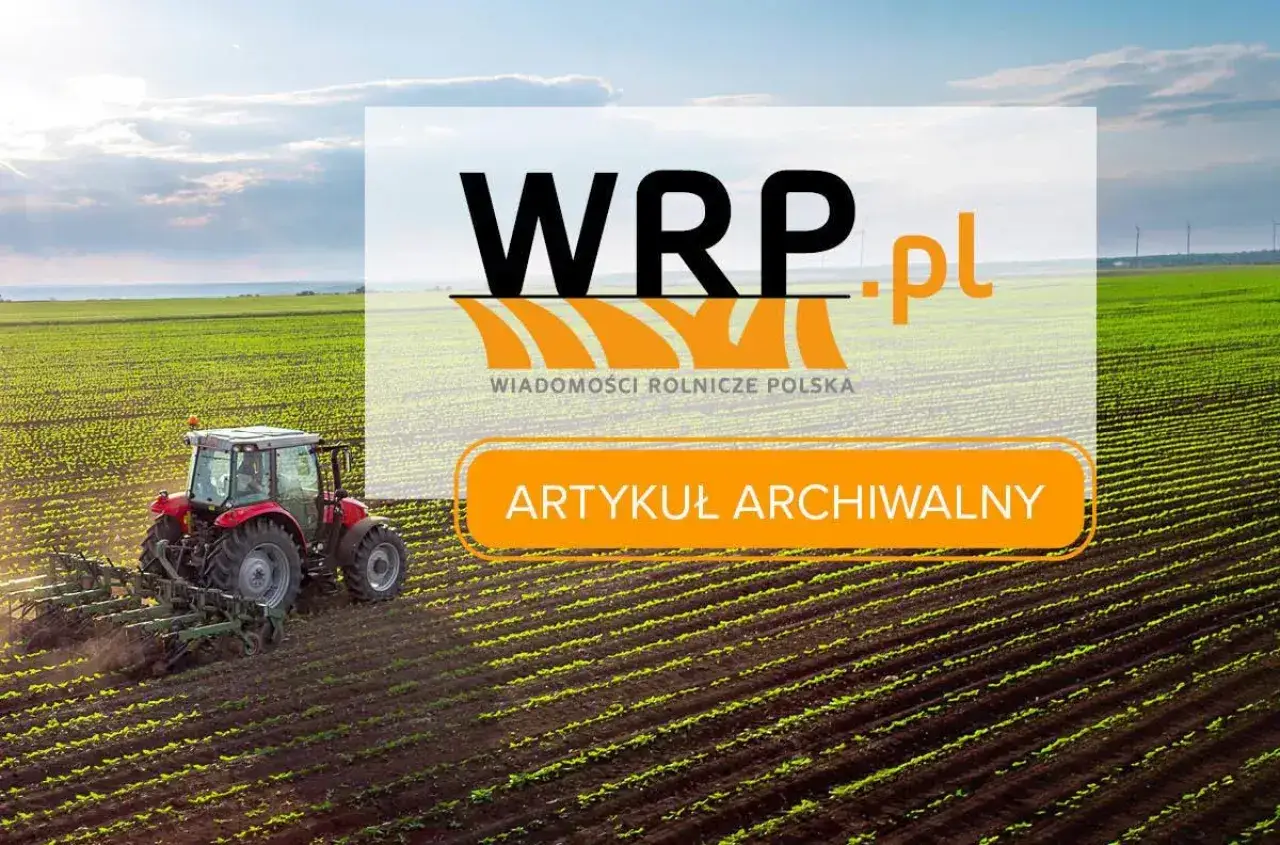 Kreda rolnicza - kiedy warto nią wapnować glebę?