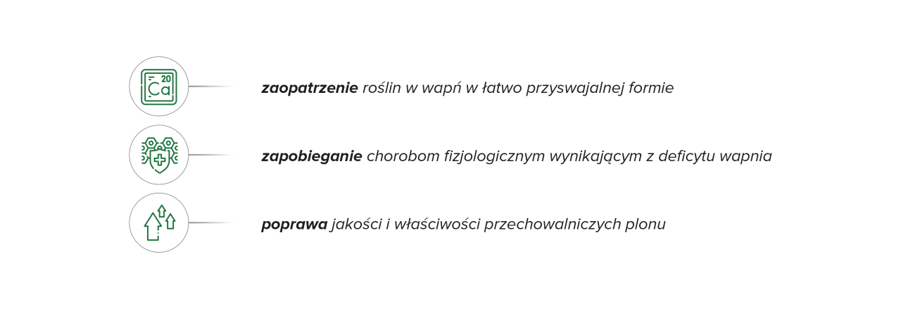 Wapnovit Turbo - jak dawkować wapń? Podlewanie czy oprysk?