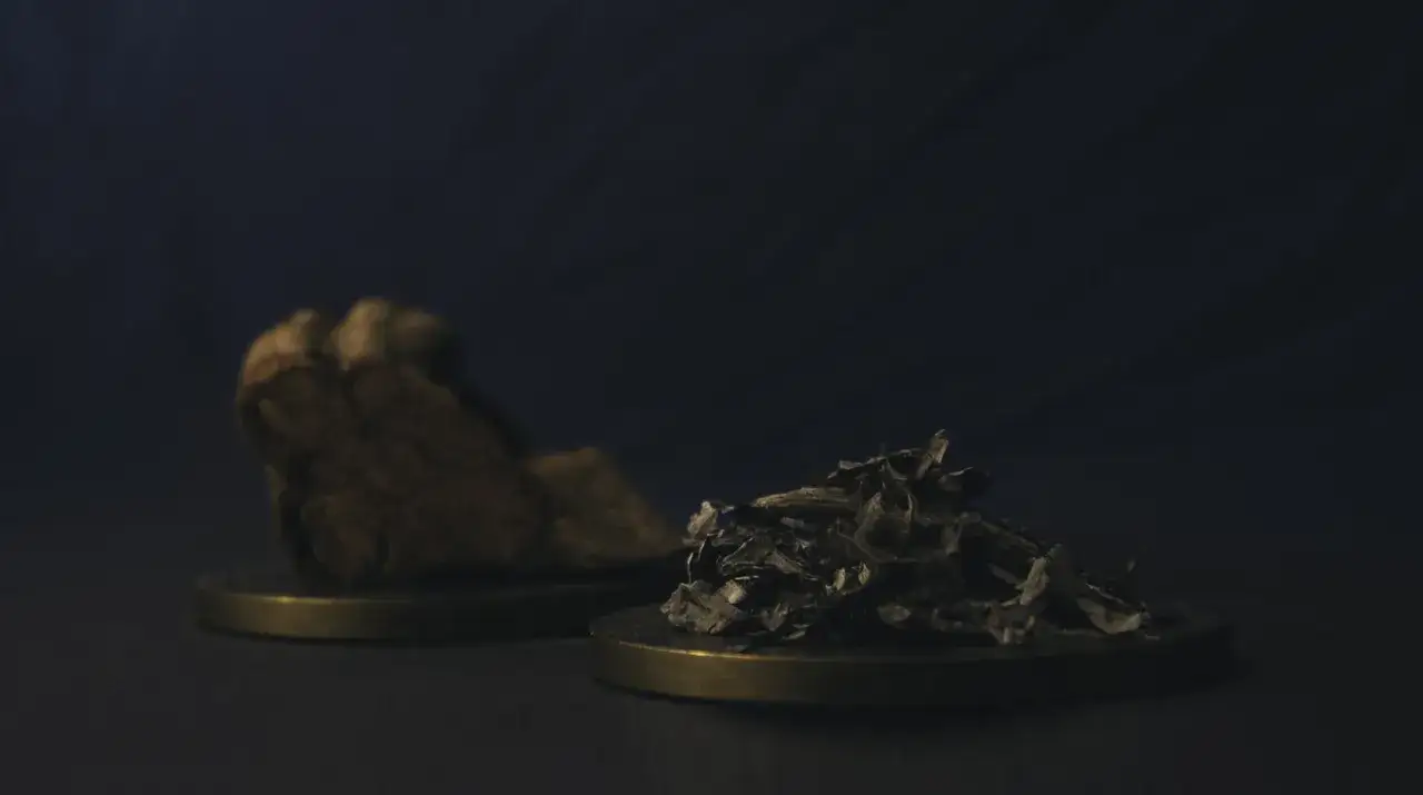 Changa - DMT z MAOI: Nie jest bezpieczniejsza. Poznaj ryzyka!
