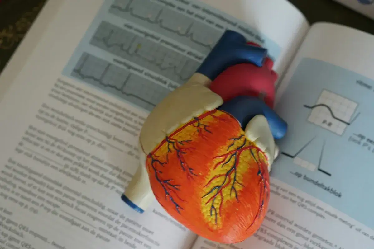 EKG serca - Co pokazuje i kiedy ratuje życie?
