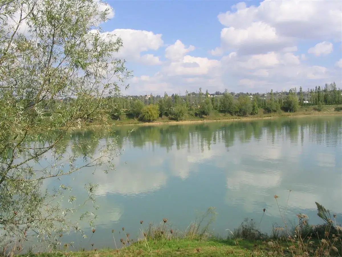 Lac de Beaupuy - Votre guide complet pour une sortie réussie