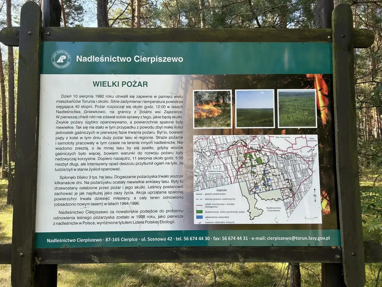 Toruń rowerem - Gdzie jechać? Najlepsze trasy i porady!