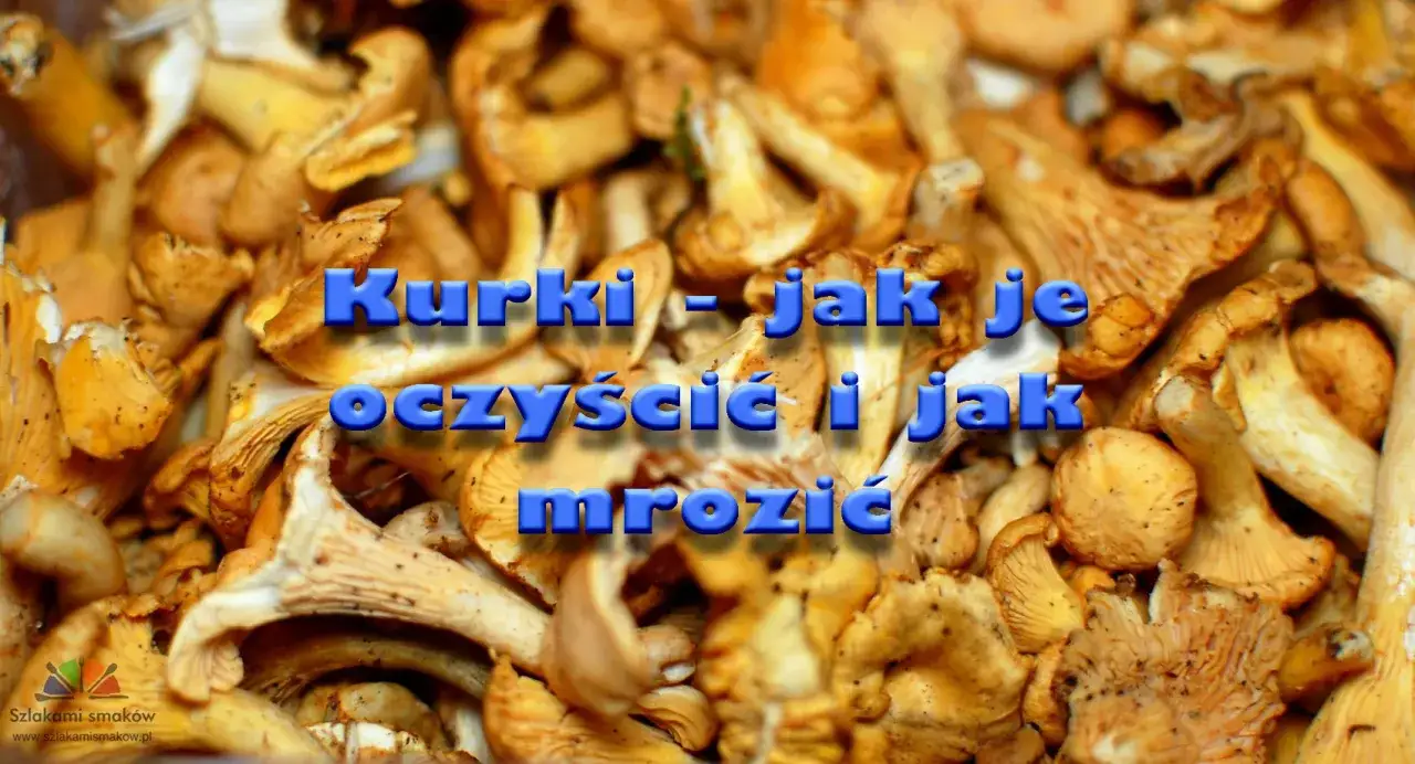 Jak mrozić kurki, by nie straciły smaku? Sprawdź!