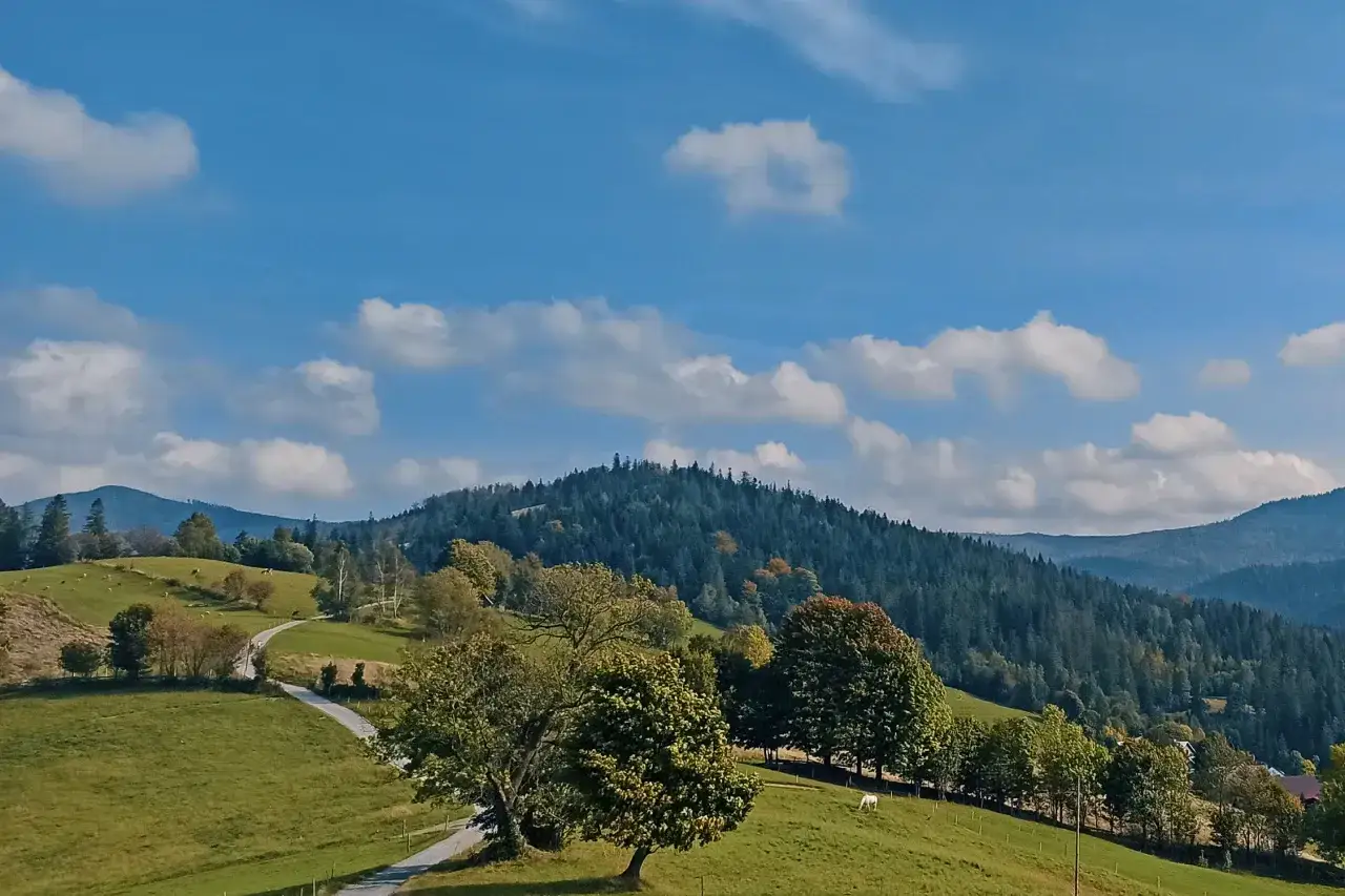 Beskidy - Najpiękniejsze szlaki z widokami. Wybierz idealny!