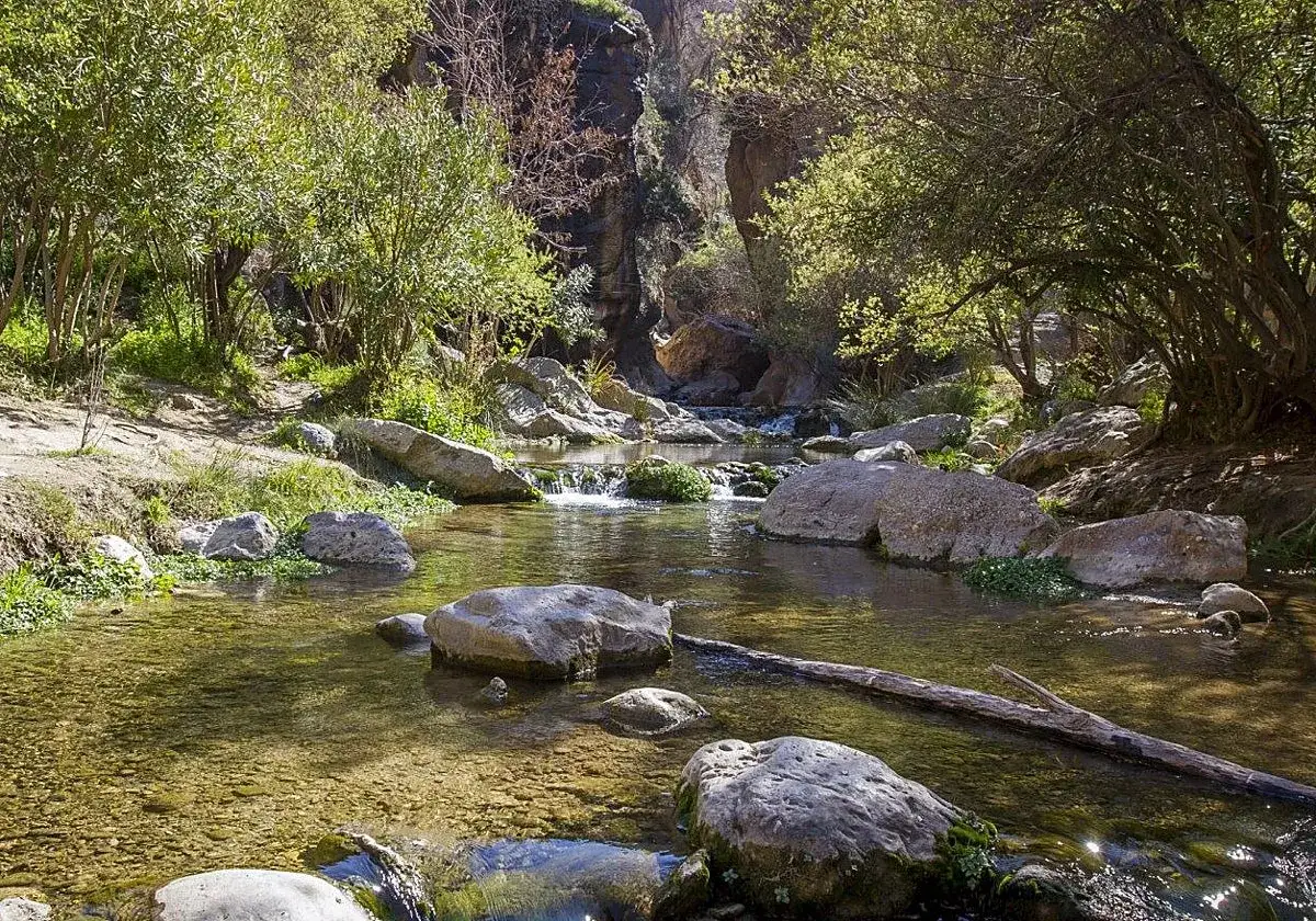 Las Canales de Padules, guía para disfrutar del río Andarax