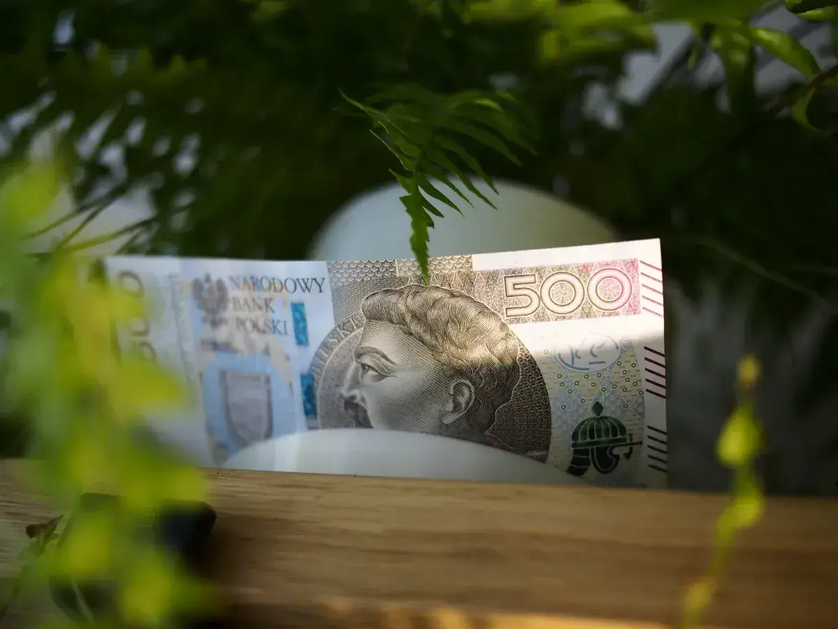 Pięćset złotych ukryte wśród zieleni. Może to początek oszczędzania na coś wyjątkowego, albo po prostu zasiedzenie w naturze z pieniędzmi.