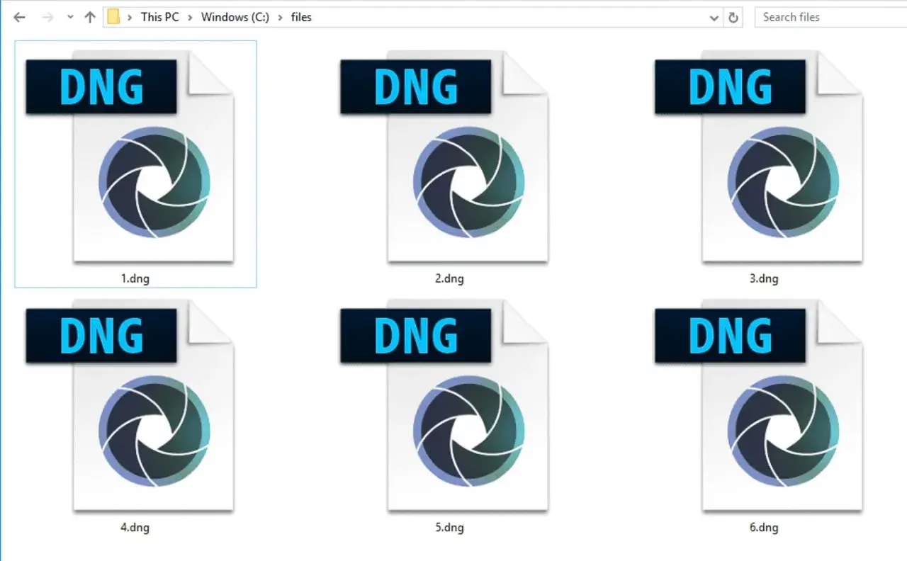 Sei file DNG, ciascuno con un'icona a forma di diaframma, sono visualizzati in una cartella di Windows.