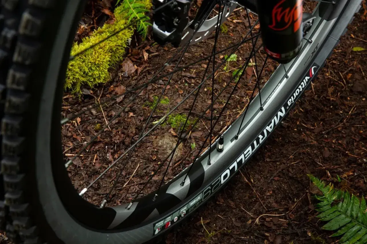 Koło rowerowe 700x25c z oponą Vittoria Martello na leśnej ścieżce.