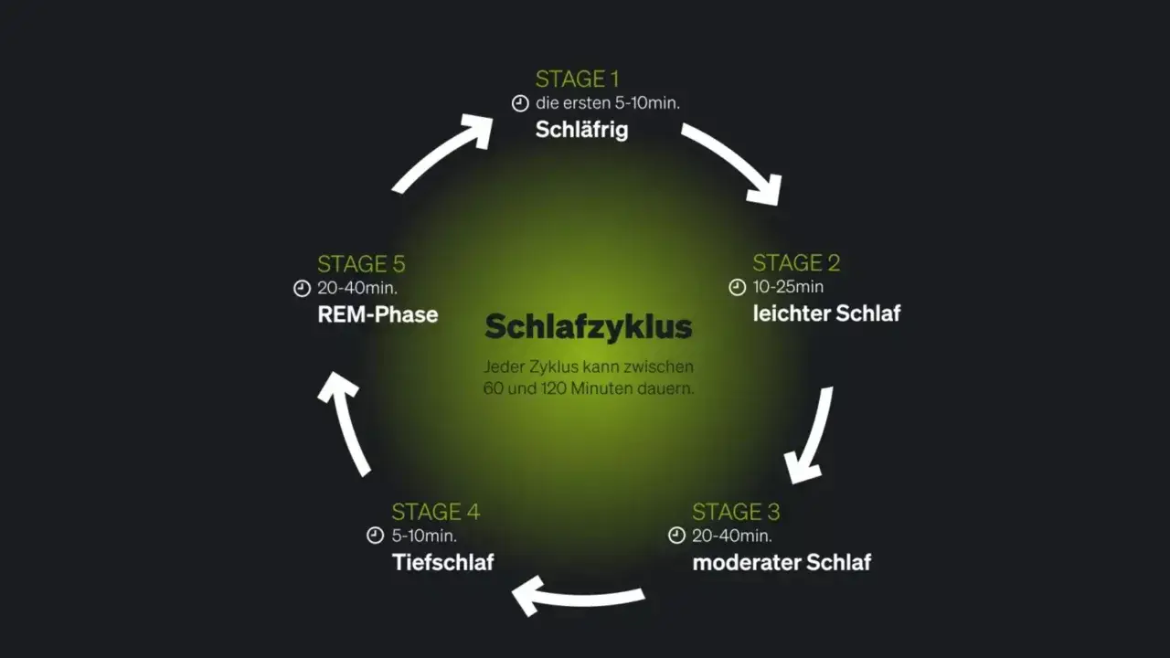 Schema des Schlafzyklus mit Phasen: Schläfrig, leichter Schlaf, moderater Schlaf, Tiefschlaf und REM-Phase. Ein Zyklus dauert 60-120 Minuten.