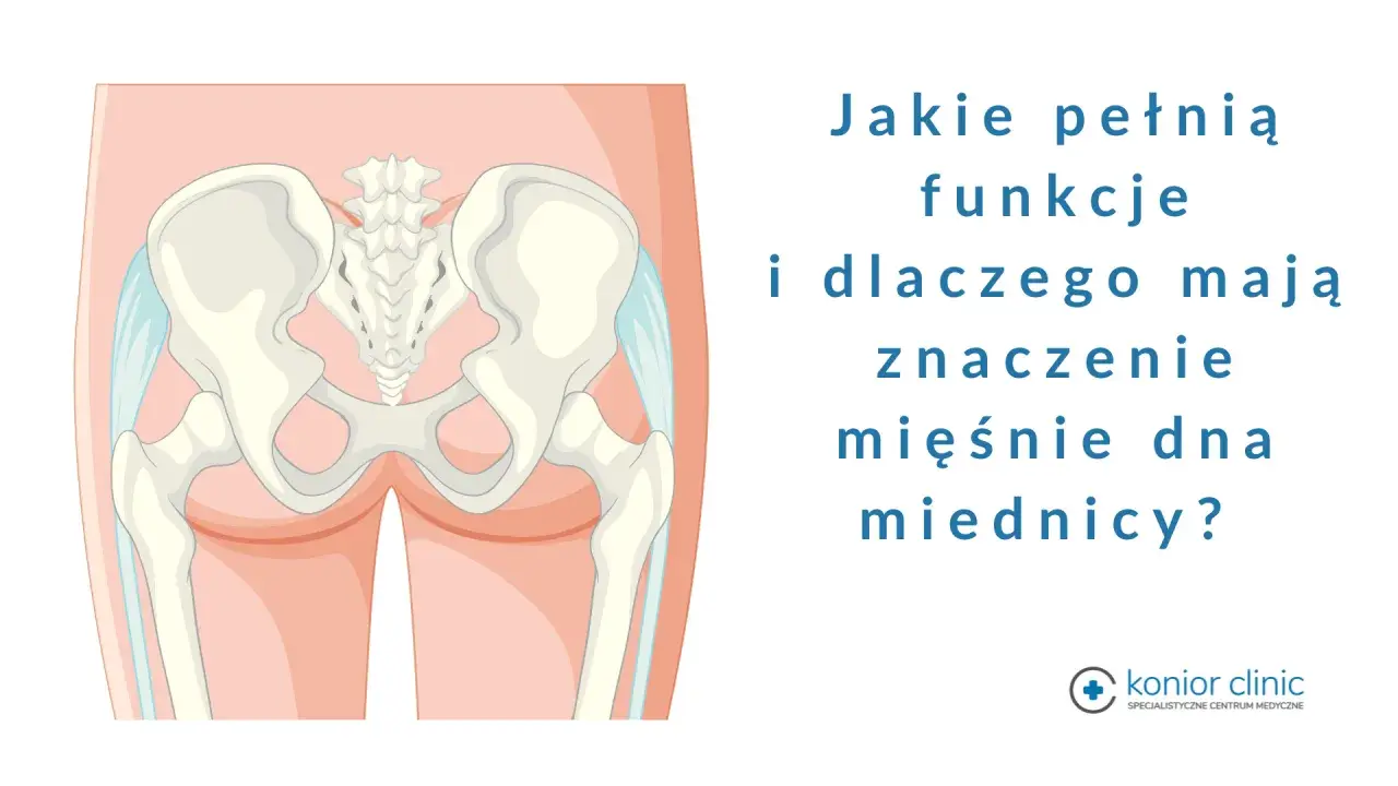 Anatomia miednicy, ilustracja przedstawiająca kości miedniczne i kręgosłup krzyżowy, z tekstem pytającym o funkcje mięśni dna miednicy.