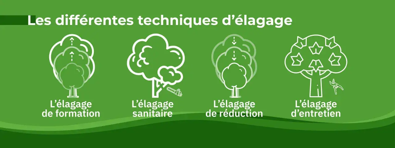 Quatre illustrations montrent différentes techniques pour élaguer un arbre : formation, sanitaire, réduction et entretien.