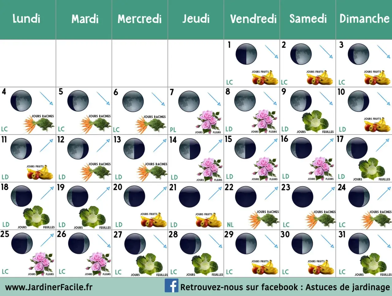 Calendrier lunaire mai : phases lunaires et indications pour semer fruits, légumes racines, feuilles et fleurs.