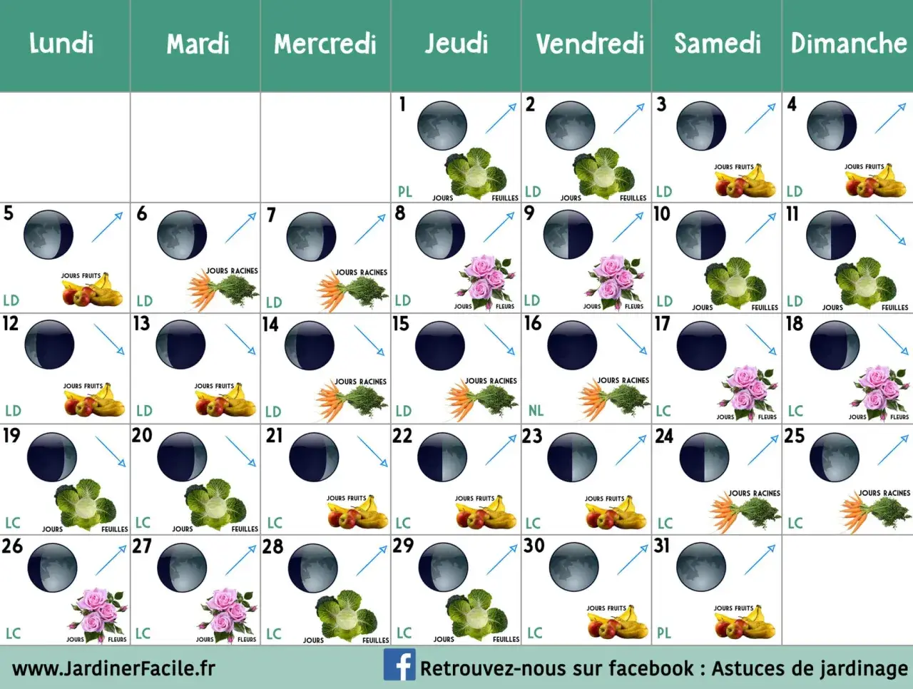 Calendrier lunaire du jardinier. Ce calendrier indique les phases lunaires et les jours propices pour planter fruits, légumes ou fleurs.