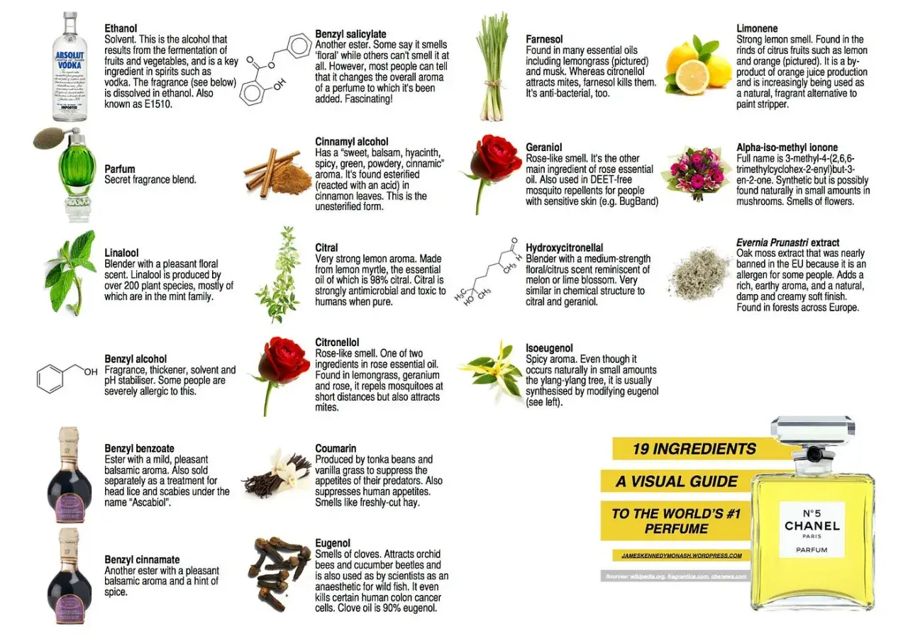 Linalool, z rodziny mięty, o przyjemnym kwiatowym zapachu, jest składnikiem wielu perfum.