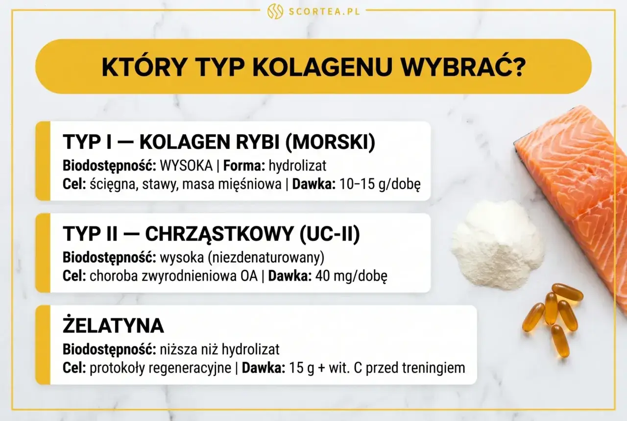 Który kolagen w proszku jaki najlepszy? Porównanie kolagenu rybiego, chrząstkowego i żelatyny.