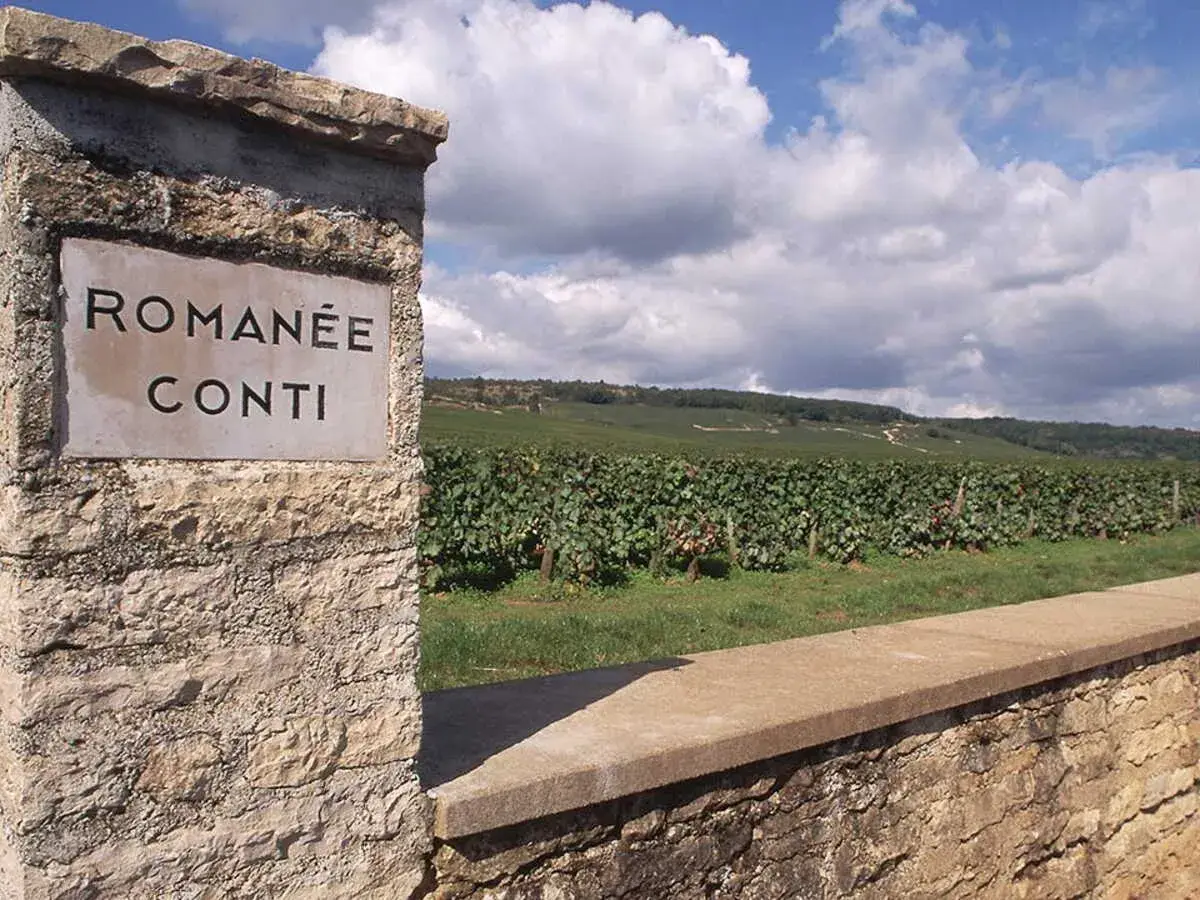 Entrée du vignoble Romanée-Conti, réputé pour produire la bouteille de vin la plus chère du monde. Paysage vallonné et ciel nuageux.