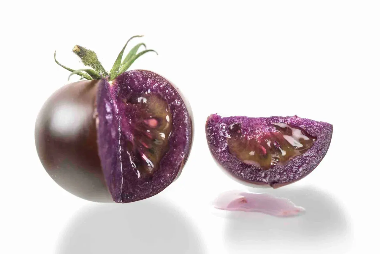 Un pomodoro viola, tagliato a metà, rivela la sua polpa succosa e un'insolita fetta con gocce di succo viola.