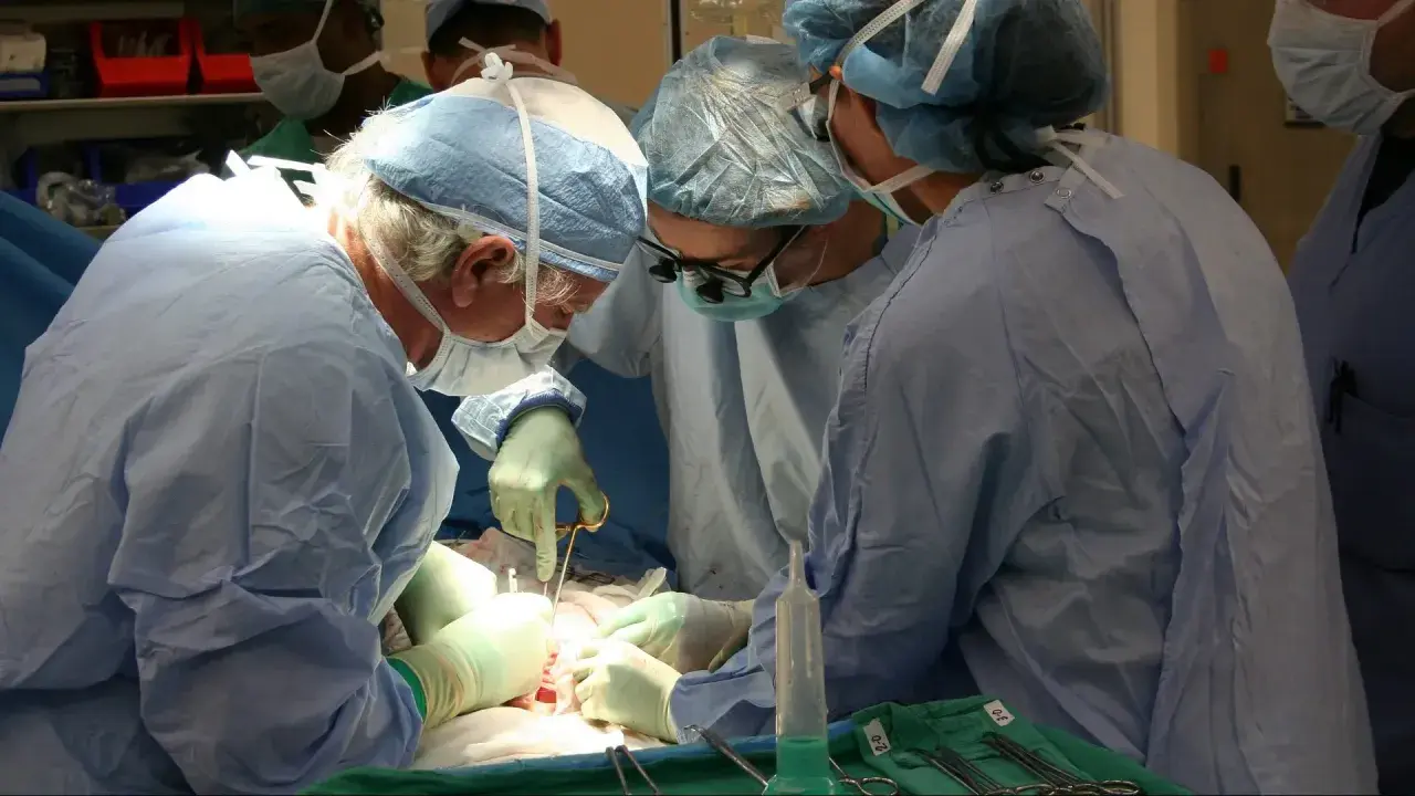 Chirurdzy podczas operacji, która może budzić dylematy etyczne związane z transplantacją organów a religią.