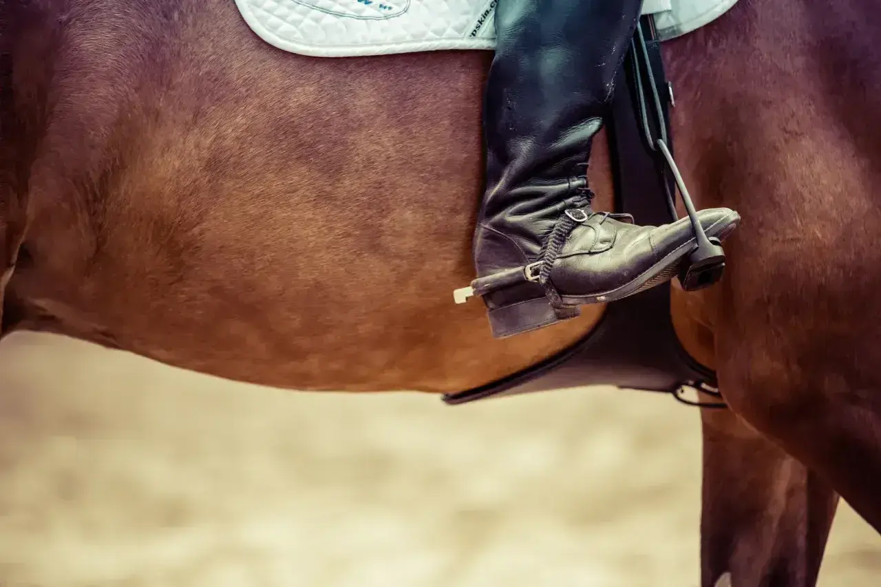 Jazda konna z idealnie dopasowanym siodłem. Dbałość o komfort konia i jeźdźca, jak u dobrego saddle fittera.