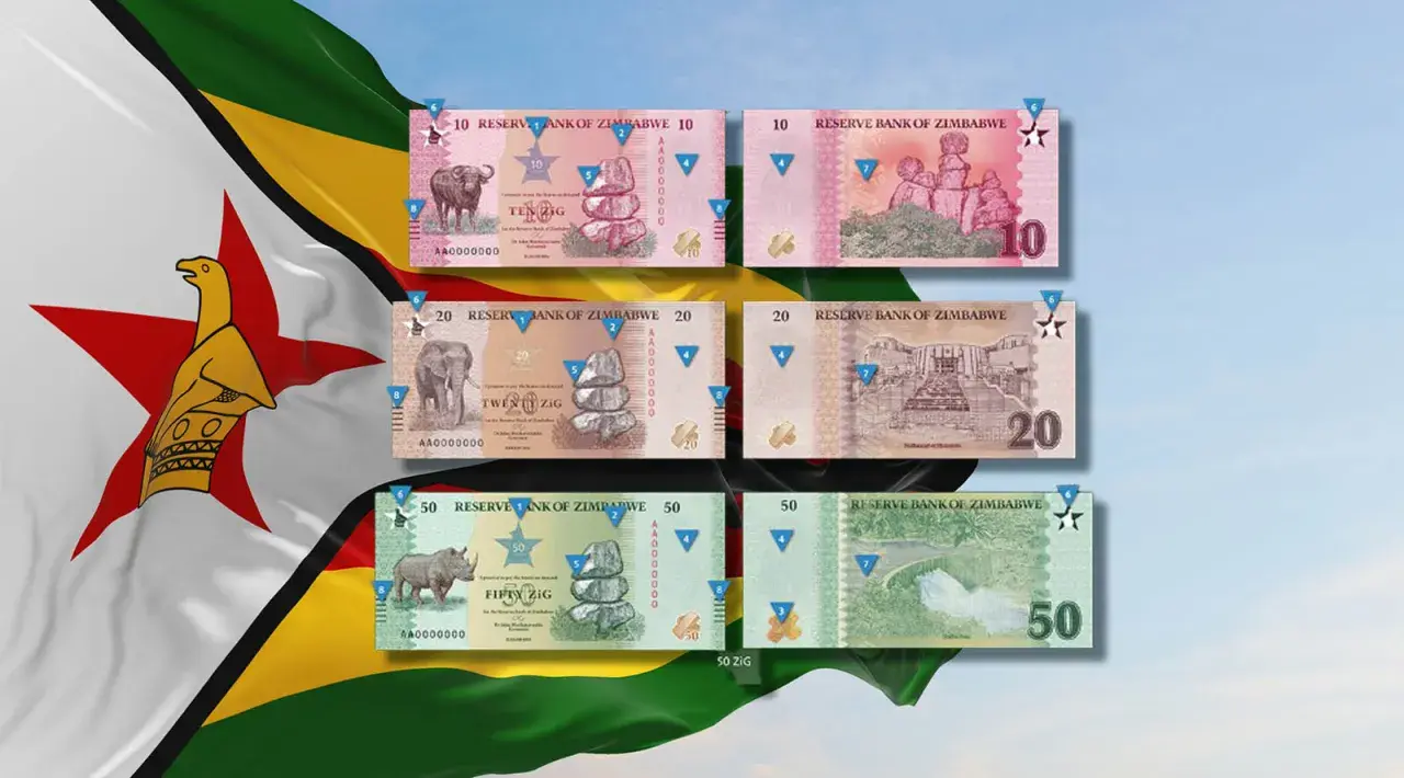 Zimbabwe waluta: banknoty 10, 20 i 50 ZIG z wizerunkami zwierząt i budynków. Flaga Zimbabwe w tle.