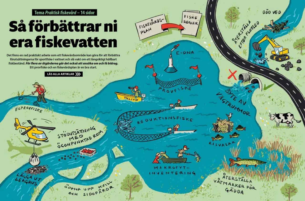 Illustration visar hur man förbättrar bra fiskevatten genom åtgärder som provfiske, e-DNA, lekgrus och återställning av våtmarker.