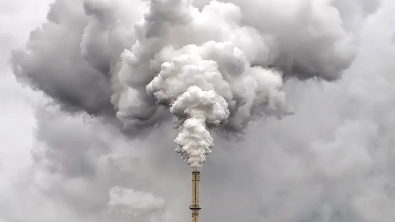 Smog: Czym jest, skąd się bierze i jak chronić zdrowie?