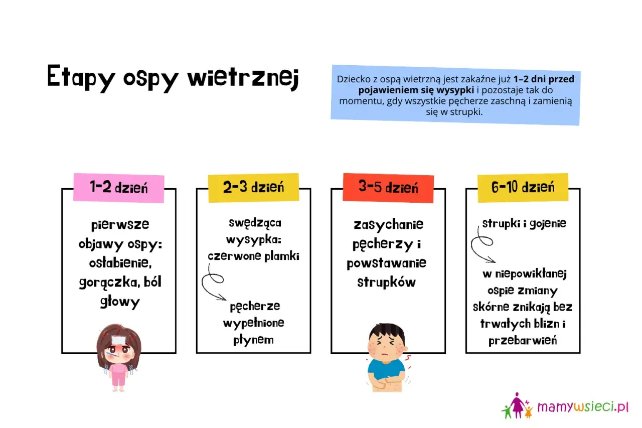 Etapy ospy wietrznej: 1-2 dzień - pierwsze objawy, 2-3 dzień - wysypka, pęcherze, 3-5 dzień - strupki, 6-10 dzień - gojenie. Okres wylęgania trwa 1-2 dni przed wysypką.