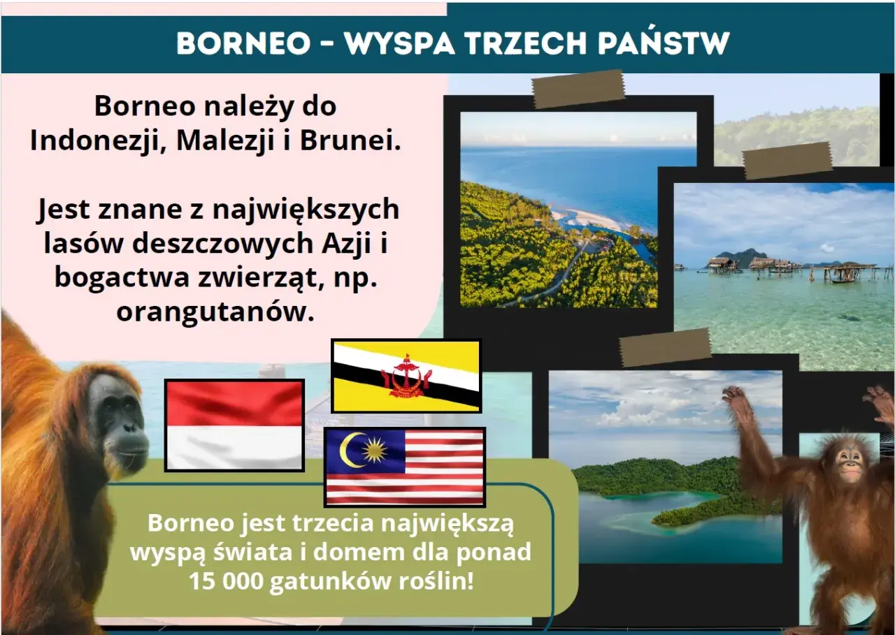 Borneo, trzecia największa wyspa świata, słynie z lasów deszczowych i orangutanów. Należy do Indonezji, Malezji i Brunei.