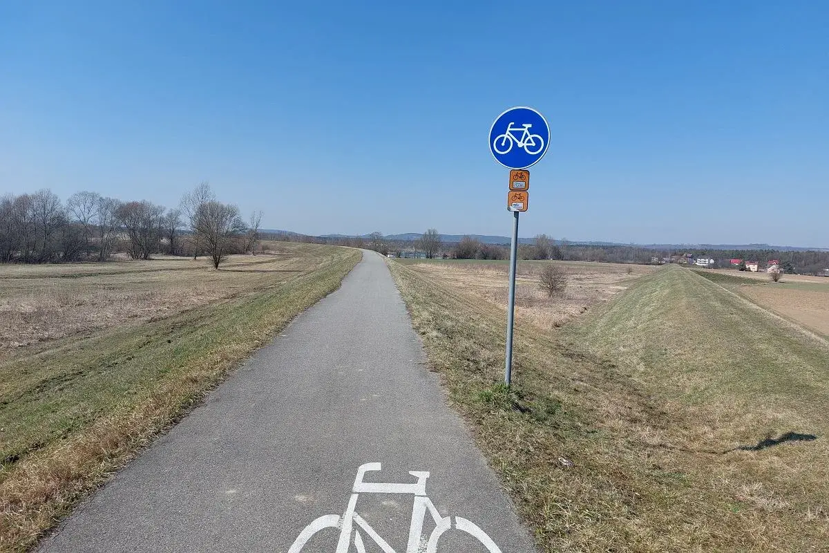 Pusta wiślana trasa rowerowa Oświęcim - Kraków, z oznakowaniem i malunkiem roweru na asfalcie.