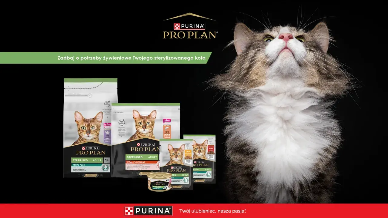 Czy Purina to dobra karma dla kota? Pro Plan oferuje specjalistyczne żywienie dla sterylizowanych kotów, dbając o ich zdrowie.