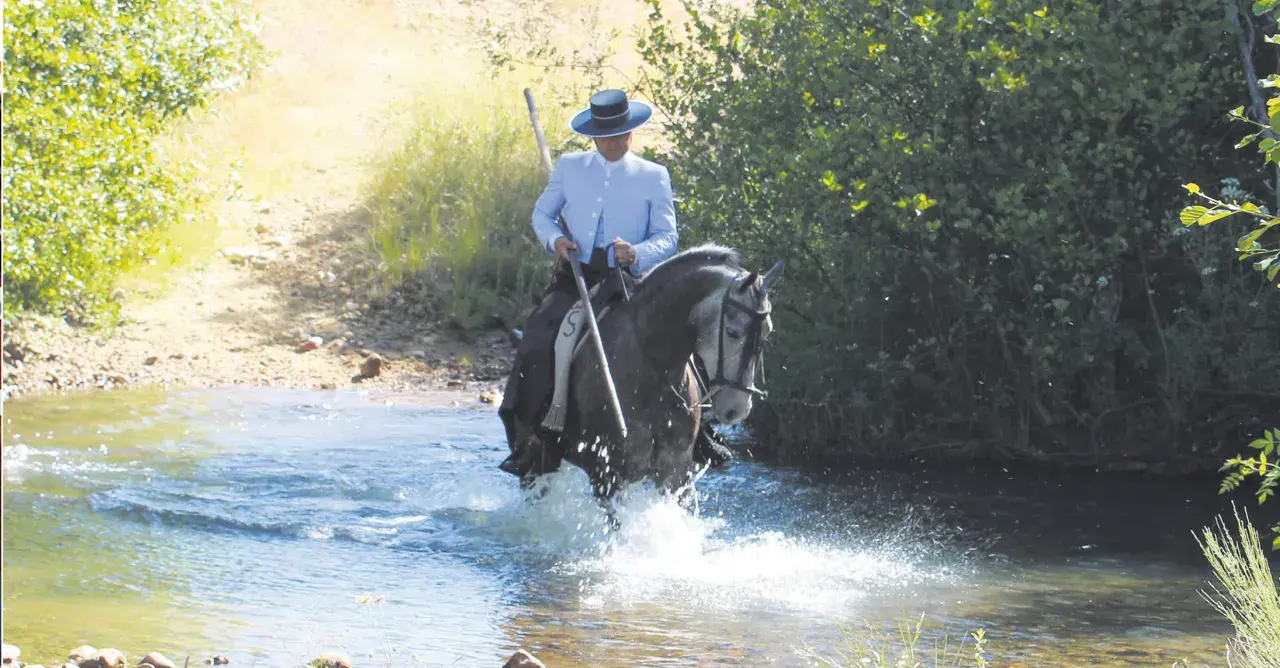 Un jinete con sombrero cordobés y traje claro cruza un río, su caballo salpica agua. Es parte del trabajo mayoral con ganado bravo.