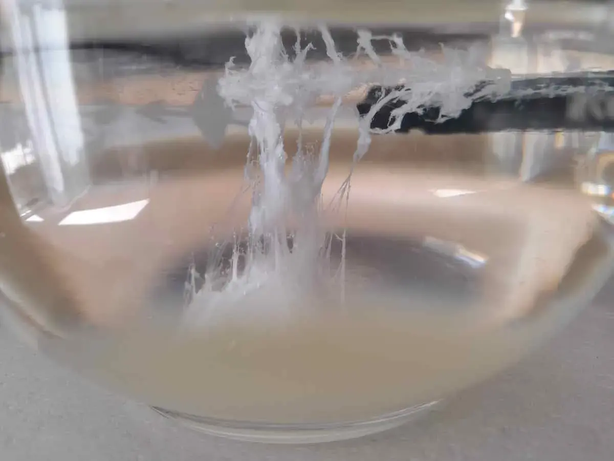 La reazione chimica che ricorda come fare la barca di San Giovanni: filamenti bianchi si formano in un liquido torbido.