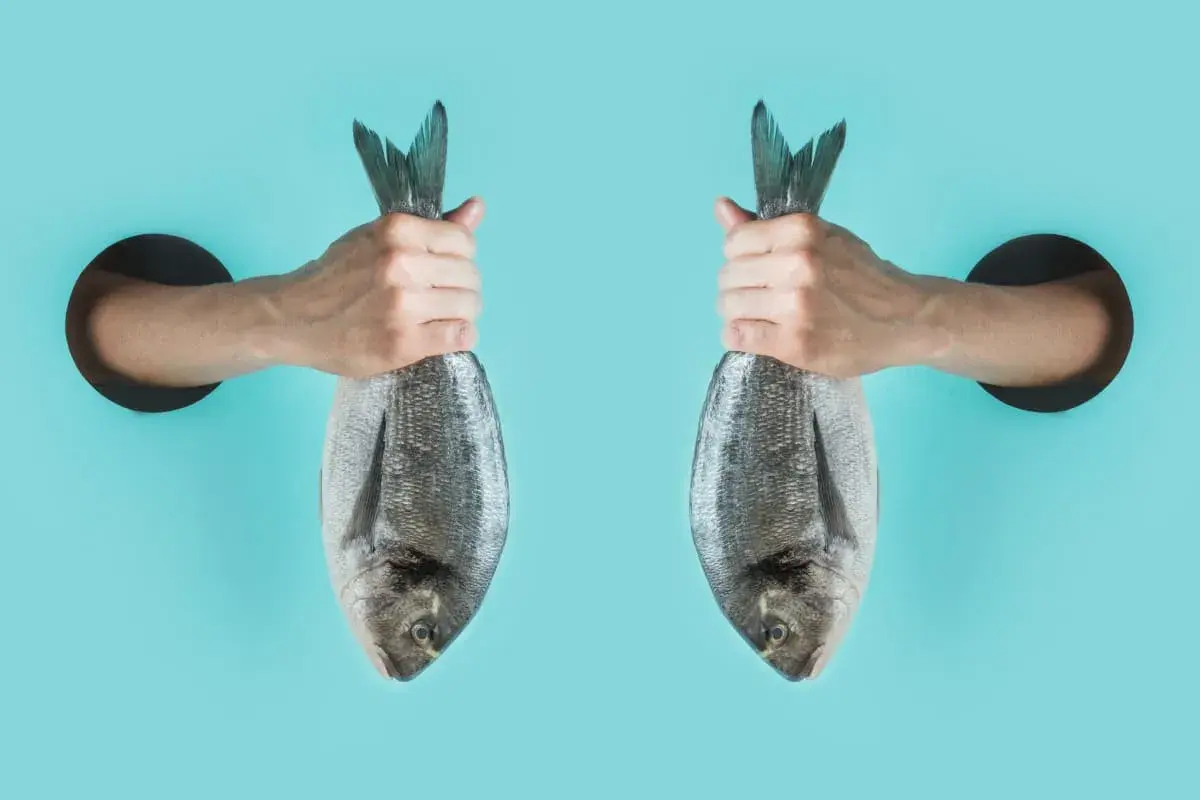 Manos sacan dos peces fuera del agua, como si soñar con peces fuera del agua fuera posible.