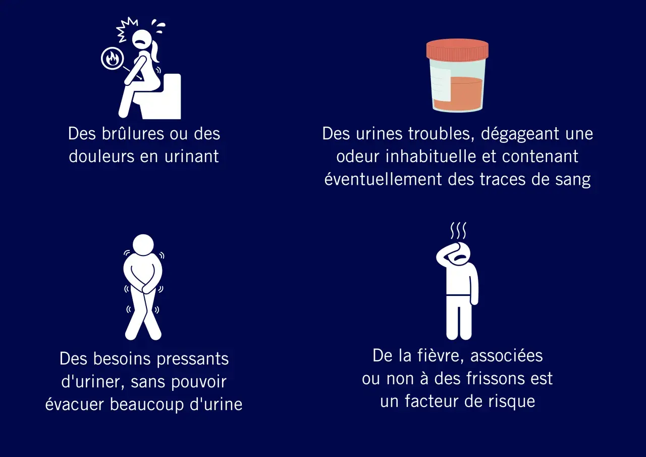 Symptômes d'infection urinaire : brûlures, urines troubles, odeur inhabituelle, besoin urgent d'uriner, fièvre. L'escherichia coli est une cause fréquente.