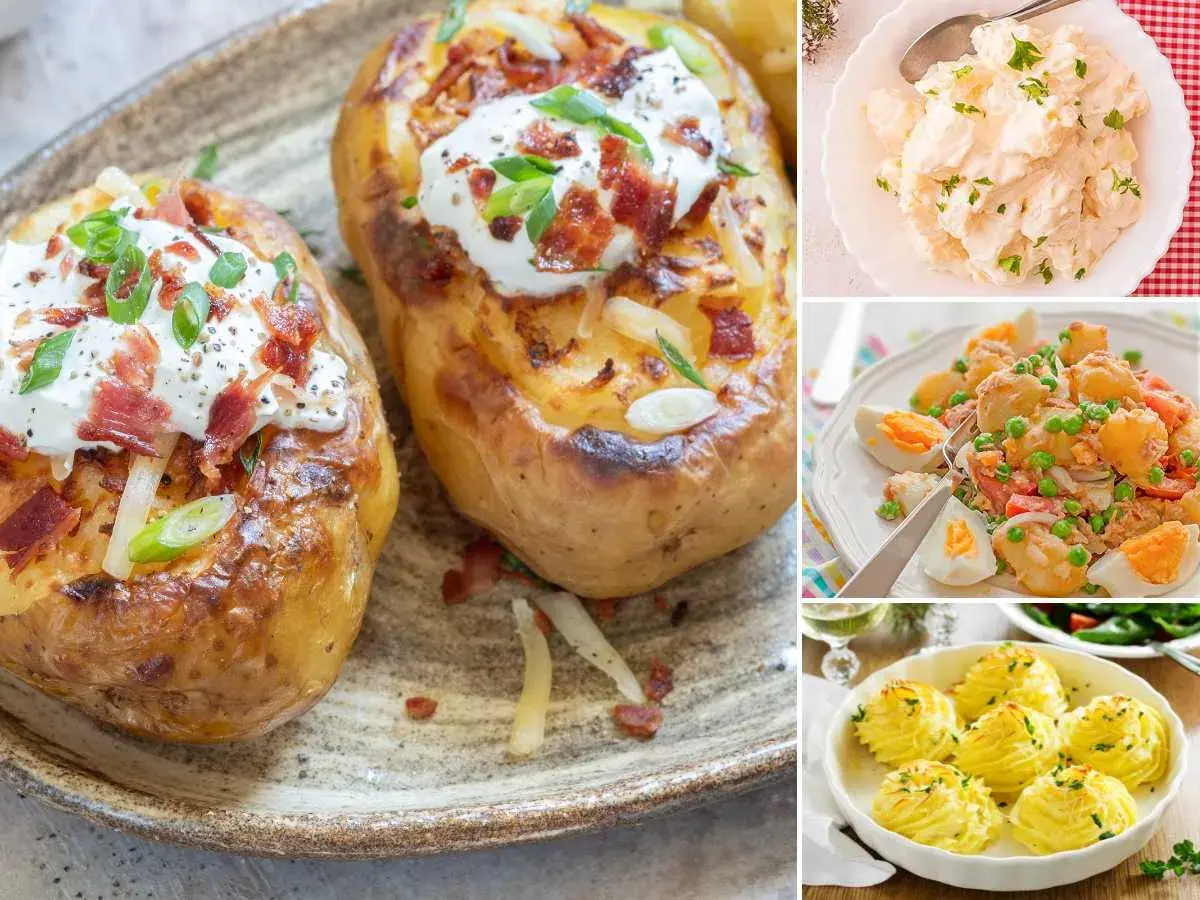 Variedad de recetas con patatas: patatas asadas rellenas, ensalada de patatas y huevos, y puré de patatas en forma de rosetas.