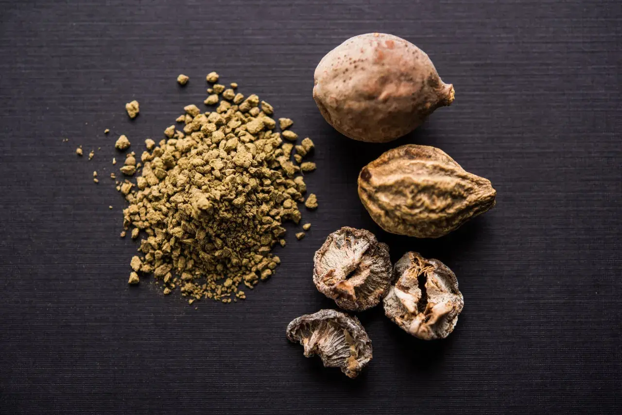 Getrocknete Früchte und Pulver von Triphala. Mögliche triphala nebenwirkungen sind selten, aber bei Einnahme zu beachten.