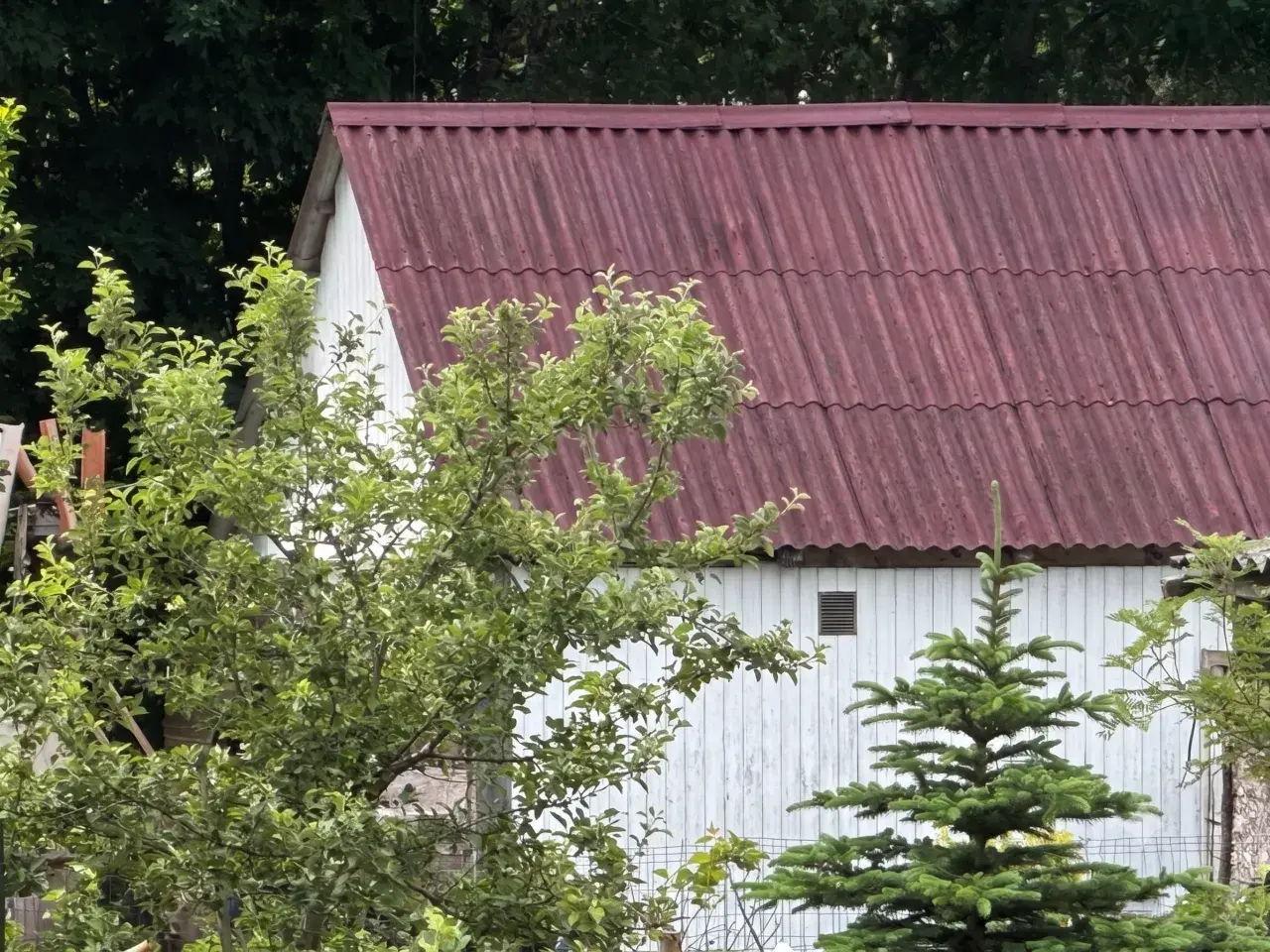 Czerwony eternit na dachu białego budynku, otoczony zielenią drzew i krzewów.