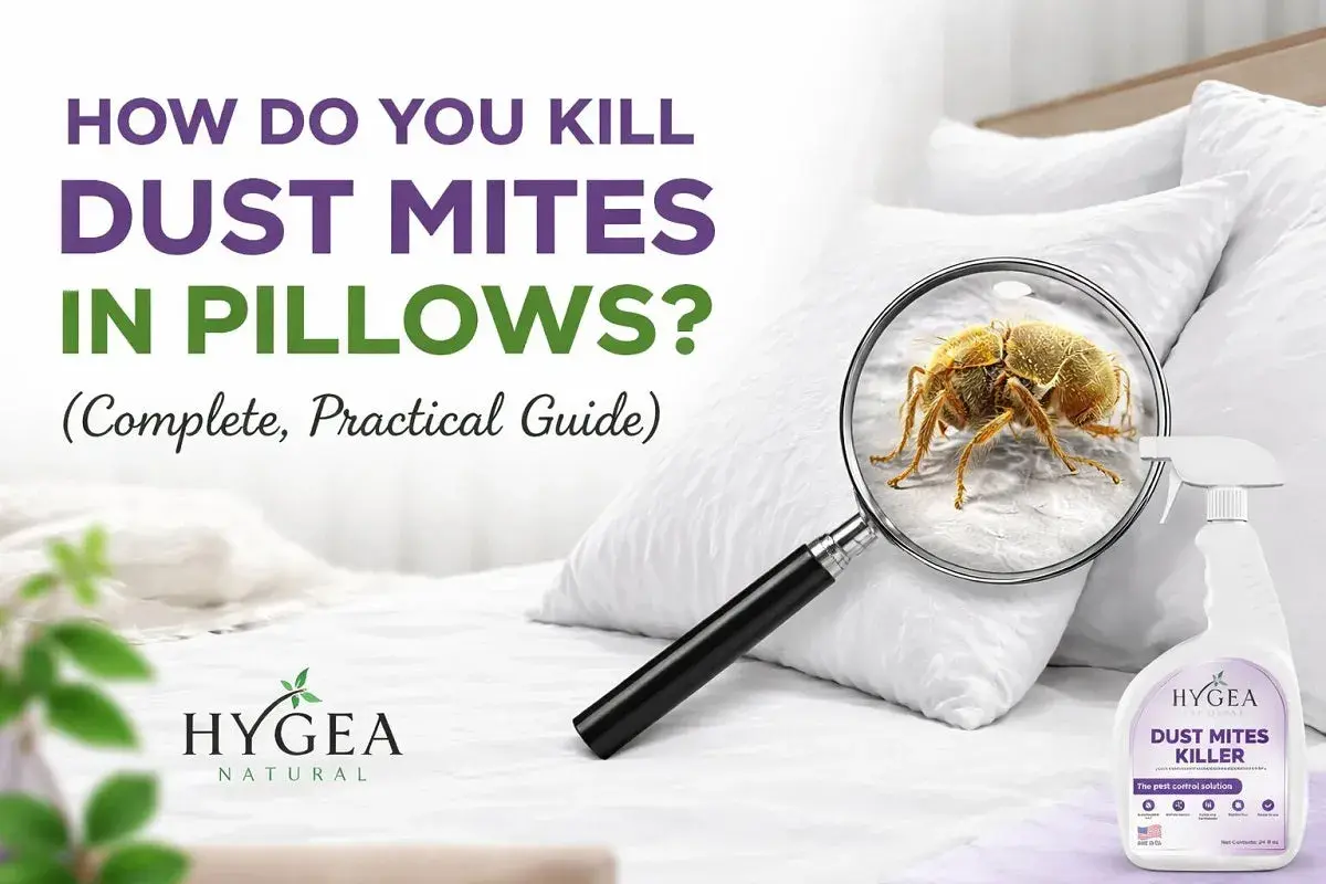 Learn how to get dust mites out of pillows with this guide. Magnified image shows a dust mite on a pillow, with a spray bottle nearby.